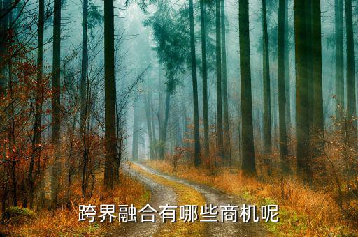 什么是跨界融合，跨界融合有哪些商機(jī)呢