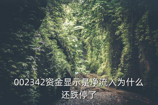資金凈流入為什么還跌停，資金凈流入怎么還跌停了