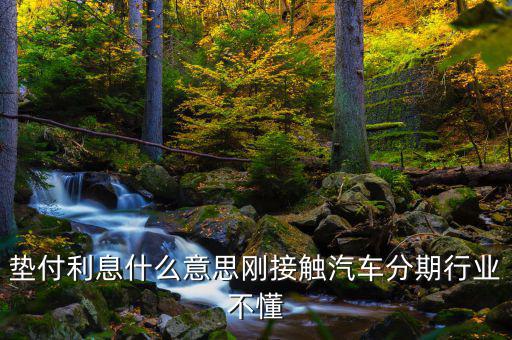 墊付利息是什么意思，紅利保險(xiǎn)會(huì)自動(dòng)墊付期間會(huì)出利息