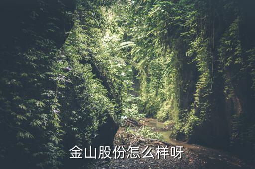 為什么沒人關(guān)注金山股份，金山股份怎么樣呀