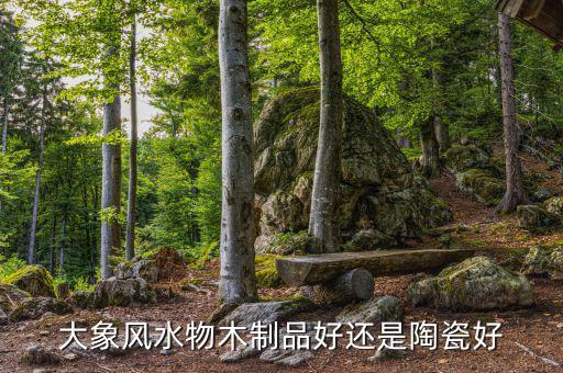 為什么大象屬金，生肖屬象所屬五行何謂