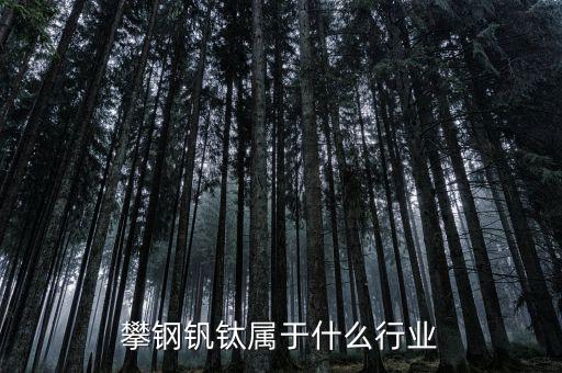 釩鈦產(chǎn)業(yè)屬于什么行業(yè)，攀鋼釩鈦屬于什么行業(yè)