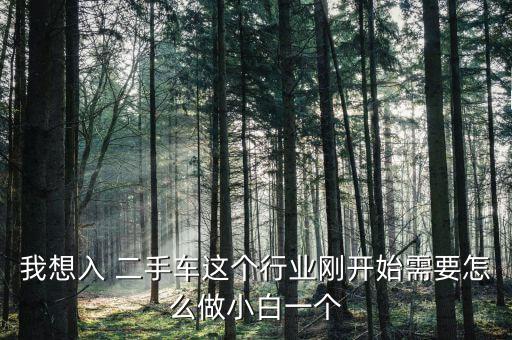 我想入 二手車這個(gè)行業(yè)剛開(kāi)始需要怎么做小白一個(gè)