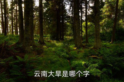 云南大旱是個什么字，云南大旱是哪個字