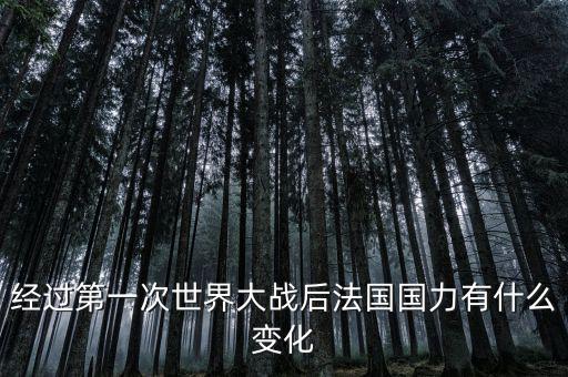 經(jīng)過第一次世界大戰(zhàn)后法國(guó)國(guó)力有什么變化