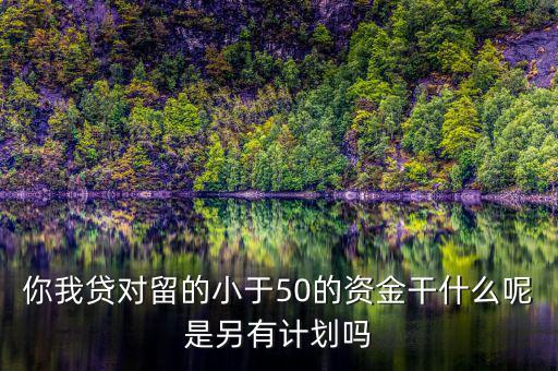 你我貸為什么我要投2萬才能減50，你我貸對留的小于50的資金干什么呢是另有計劃嗎