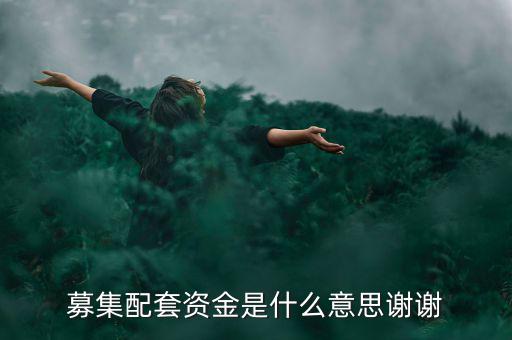 配股募資是什么意思，配股是什么意思啊