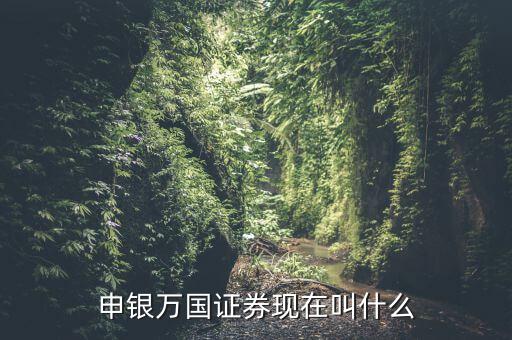 申銀萬國并什么證券公司了，申銀萬國證券現(xiàn)在叫什么