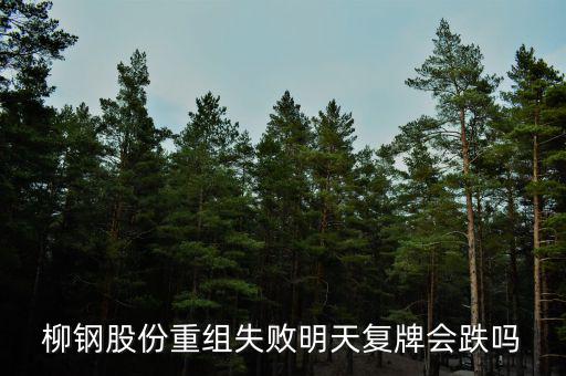 柳鋼股份什么時(shí)候復(fù)牌，柳鋼股份何時(shí)復(fù)牌 復(fù)牌后價(jià)位如果