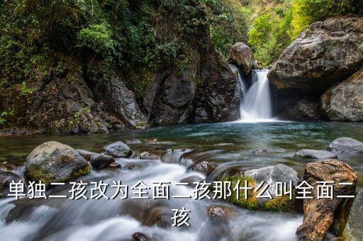 什么是全面二孩，全面開(kāi)放生二胎指什么