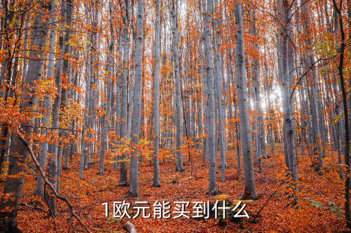 一歐元能買什么，1歐元在倫敦可以買到什么