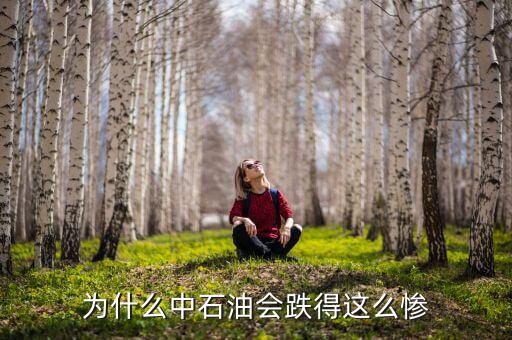 中石油上市為什么狂跌，為什么中石油會跌得這么慘