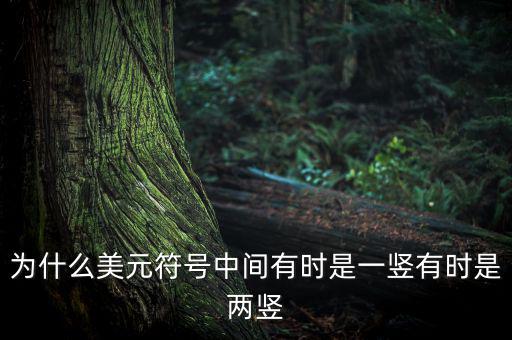 比美元符號多一豎是什么，一個很像美元的符號 但是那一豎是不貫穿S的 也就是S上面有一小豎