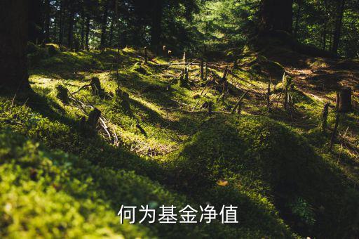 什么叫基金凈值，基金凈值是什么意思