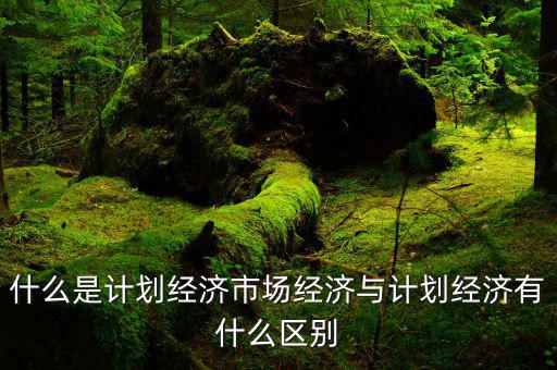 什么是市場經(jīng)濟和計劃經(jīng)濟，什么叫市場經(jīng)濟