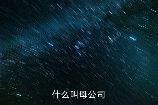 財務(wù)報告中母公司是什么意思，財務(wù)報表中的合并與母公司是什么意思