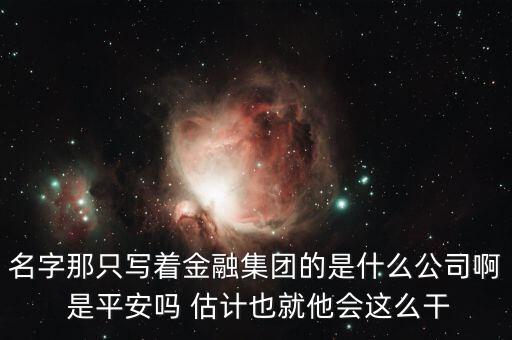 中生金控屬什么企業(yè)，我國(guó)四大金融控股公司是什么