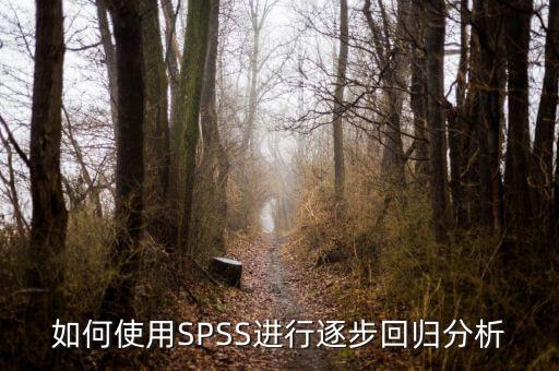 逐步回歸用什么軟件，關(guān)于spss相關(guān)分析和逐步回歸分析之間的一些疑問