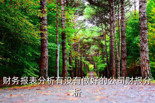初學(xué)者財務(wù)分析分析什么公司，投資公司財務(wù)分析范文