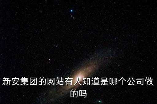 新安股份做什么的，新安集團(tuán)的網(wǎng)站有人知道是哪個公司做的嗎