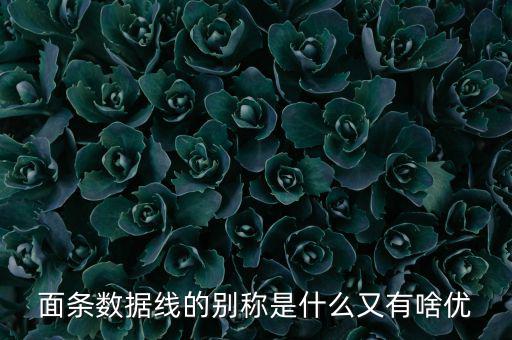 skewrons是什么牌子，skewrons是什么意思