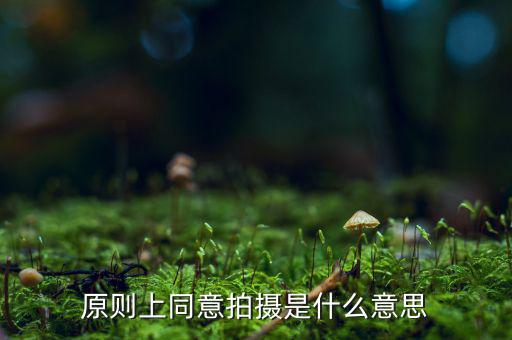 原則上同意是什么意思，原則上同意是什么意思
