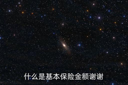 什么叫基本保險(xiǎn)金額，基本保險(xiǎn)金額是什么意思