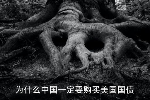 中國(guó)為什么買(mǎi)美國(guó)的國(guó)債，中國(guó)為什么要買(mǎi)那么多美國(guó)國(guó)債能不能說(shuō)得通俗一點(diǎn)我不太懂經(jīng)濟(jì)