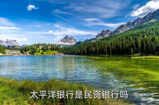 民資為什么銀行，太平洋銀行是民資銀行嗎