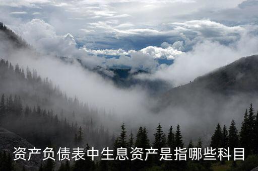 什么是生息負(fù)債，什么是速動資產(chǎn)流動負(fù)債和生息債務(wù)
