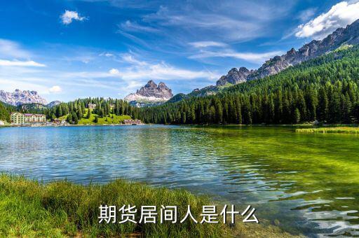 期貨居間人干什么的，期貨居間人是什么