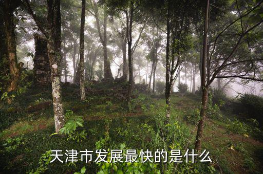天津靠什么發(fā)展，天津市發(fā)展最快的是什么