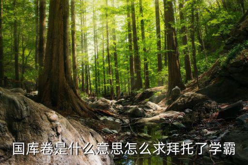 國庫卷什么意思，國庫卷是什么意思怎么求拜托了學(xué)霸