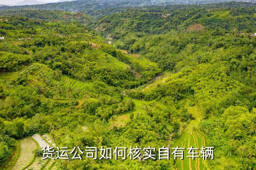 貨運資產(chǎn)是什么意思，貨運公司如何核實自有車輛