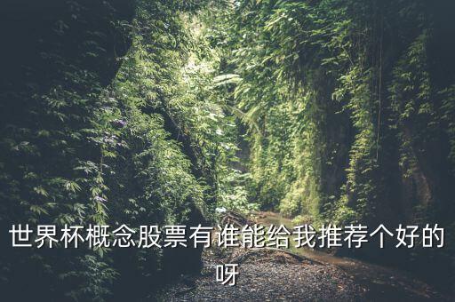 世界杯什么股票好，世界杯概念股票有誰能給我推薦個(gè)好的呀