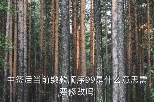 繳款順序99是什么意思，99是什么意思