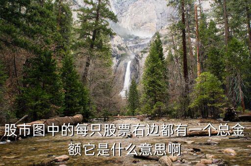 股市圖每只股票的總量是什么意思，股票總量是什么意思