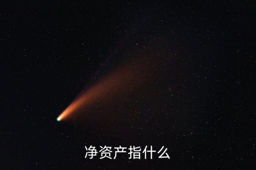 凈資產(chǎn)是什么意思，凈資產(chǎn)指什么