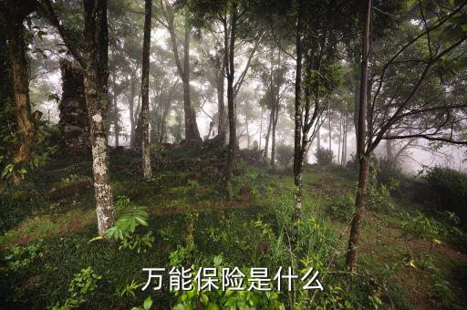 萬能壽險是什么意思，萬能保險是什么