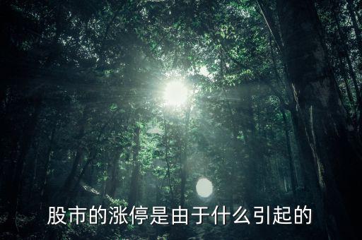 股票漲停跟什么有關(guān)系，股票開(kāi)盤(pán)就漲停受什么因素影響能否具體回答