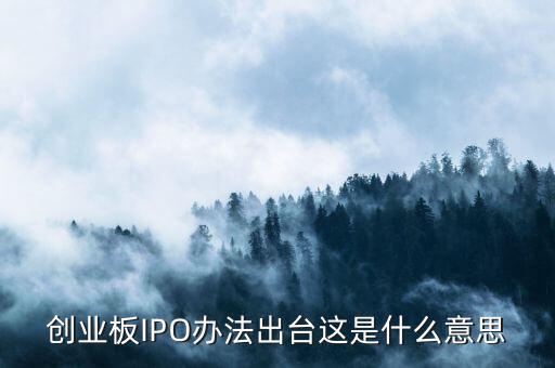 創(chuàng)業(yè)板ipo是什么意思，什么是創(chuàng)業(yè)板IPO泡沫