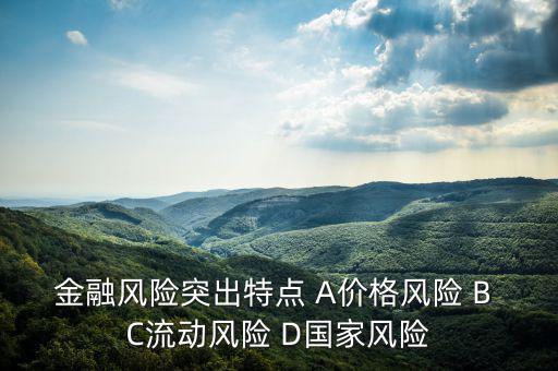 金融風險有什么特征，試述國際金融風險的特征