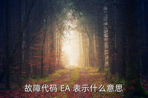 華泰ea什么意思，故障代碼 EA 表示什么意思