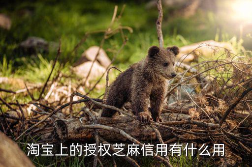 淘寶上的授權芝麻信用有什么用