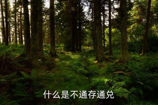 不通存通兌是什么意思，什么是不通存通兌
