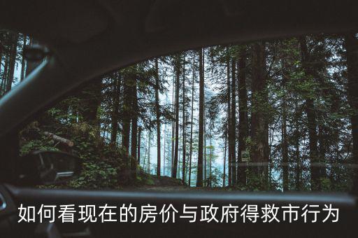 如何看現在的房價與政府得救市行為