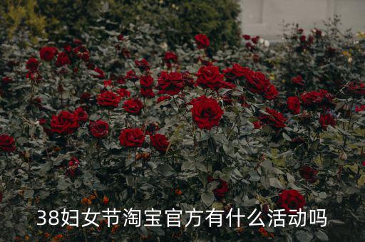 三八婦女節(jié)各個電商有什么活動，淘寶店在三八節(jié)可以搞些什么活動