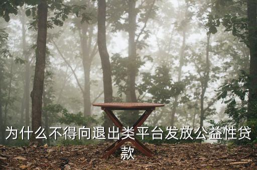 什么是退出類融資平臺(tái)，為什么不得向退出類平臺(tái)發(fā)放公益性貸款