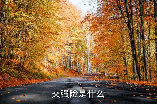 什么是交強(qiáng)險(xiǎn)，交強(qiáng)險(xiǎn)是什么