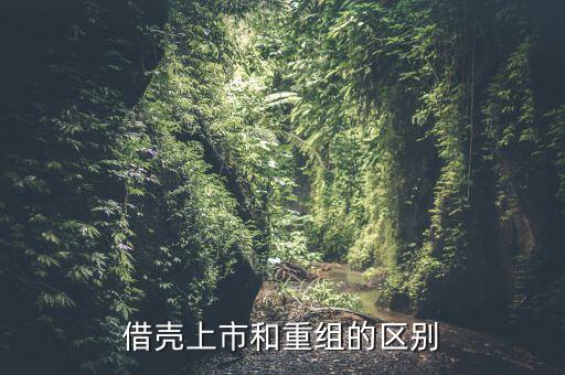什么是借殼重組，下殺就買怕什么借殼重組什么概念